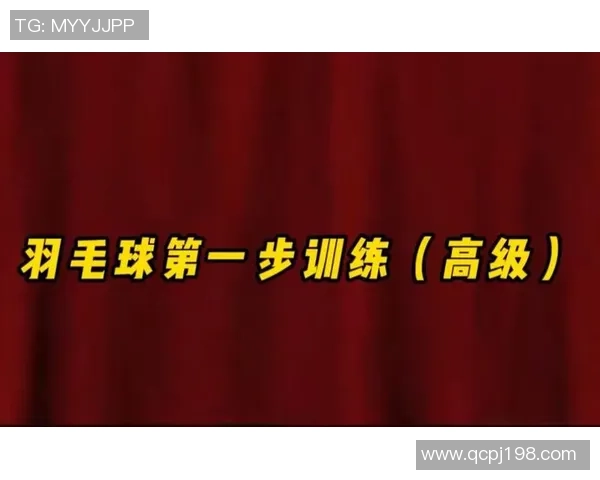 从零基础到羽毛球高手的全面提升指南与实用技巧分享